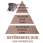 Preview: Duftpyramide Betörendes Oud