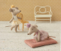 Preview: Szene mit kleiner Schwester Maus als Ballerina