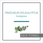 Preview: Lampe Berger Eukalyptus