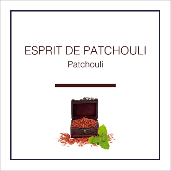 Lampe Berger Patchouli Nachfüllung 500ml »Esprit de Patchouli«