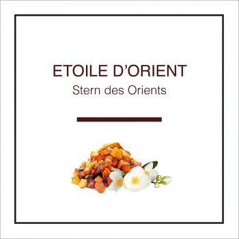 Lampe Berger Duft Stern des Orient