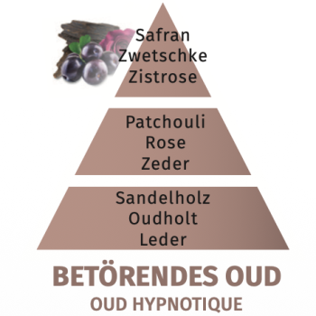 Preview: Duftpyramide Betörendes Oud