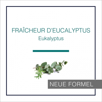 Lampe Berger Eukalyptus