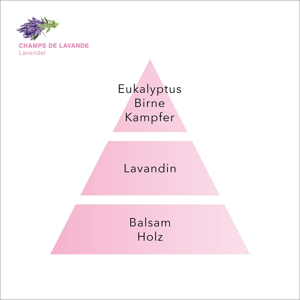 Parfum Berger Lavendel Duft – »Champs de Lavande«