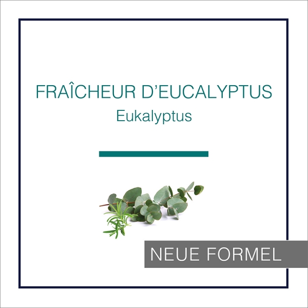 Lampe Berger Eukalyptus