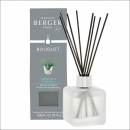 Bouquet Cube Matt mit Duft »Citronella« - Citronnelle